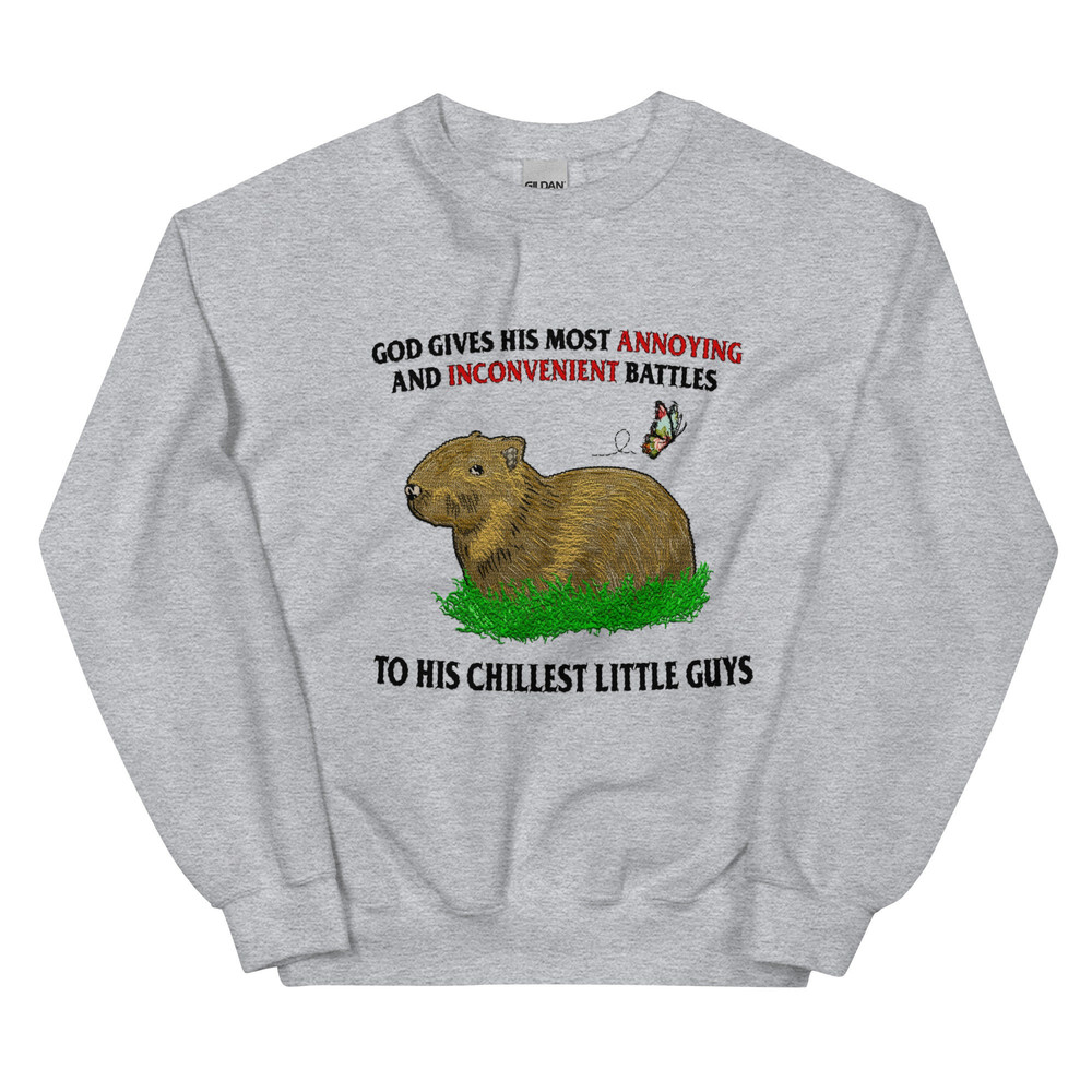Chillest Little Guy Unisex Sweatshirt (not embroidered) - 3.jpg
