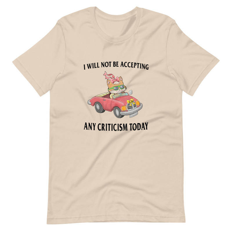 No Criticism Unisex t-shirt - 3.jpg