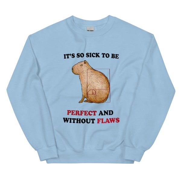 Perfectly Flawles Unisex Sweatshirt - 1.jpg