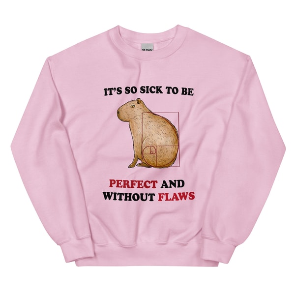 Perfectly Flawles Unisex Sweatshirt - 4.jpg