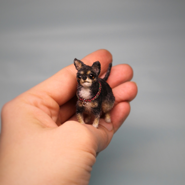 miniature dog