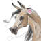 bay Arabian Horse ART commission cute sketch doodle custom original equine artist cartoon illustration pet portrait realistic drawing personalized painting eque
