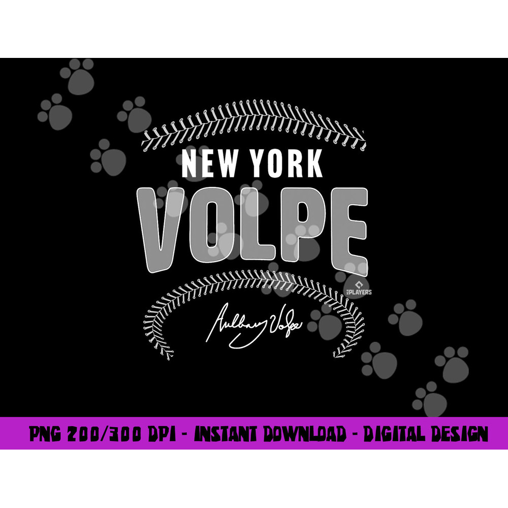 Anthony Volpe New York Baseball Name & Number (Front & Back) png, sublimation copy.jpg