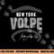 Anthony Volpe New York Baseball Name & Number (Front & Back) png, sublimation copy.jpg