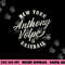 Anthony Volpe New York Baseball Vintage Cursive MLBPA png, sublimation copy.jpg