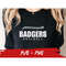MR-147202322310-badgers-baseball-svg-badgers-png-halfball-png-school-team-image-1.jpg