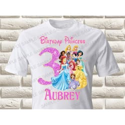 princess iron on transfer, princess birthday girl iron on transfer, princess birthday shirt iron on transfer only digi