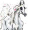 Light Grey White Arabian Horse ART commission cute sketch doodle custom original equine artist cartoon illustration pet portrait realistic drawing personalized