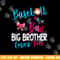 Baseball Gender Reveal-Baseball or Bow Big Brother Loves You png, sublimation copy.jpg