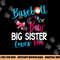 Baseball Gender Reveal-Baseball or Bow Big Sister Loves You png, sublimation copy.jpg