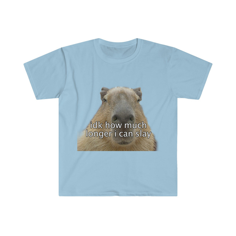 Capybara idk how much longer i can slay Funny Meme T Shirt - 1.jpg