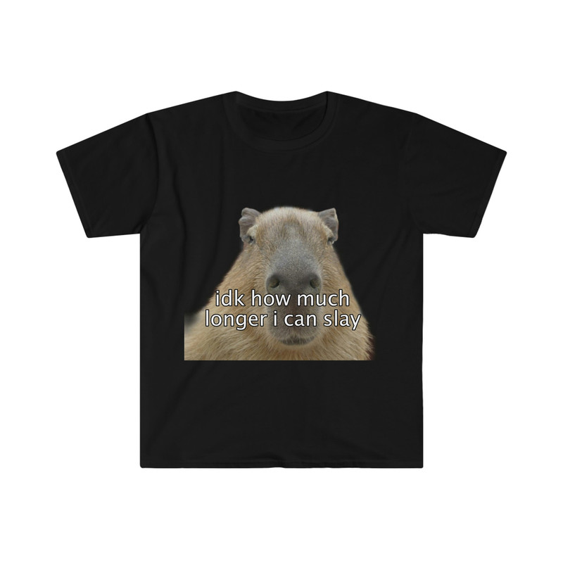 Capybara idk how much longer i can slay Funny Meme T Shirt - 3.jpg