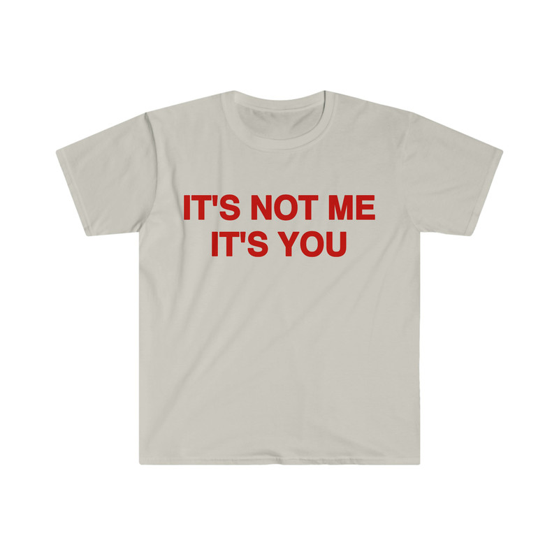 Funny Y2K Sassy TShirt, It's Not Me It's You 2000's Celebrity Style Meme Tee, Gift Shirt - 3.jpg