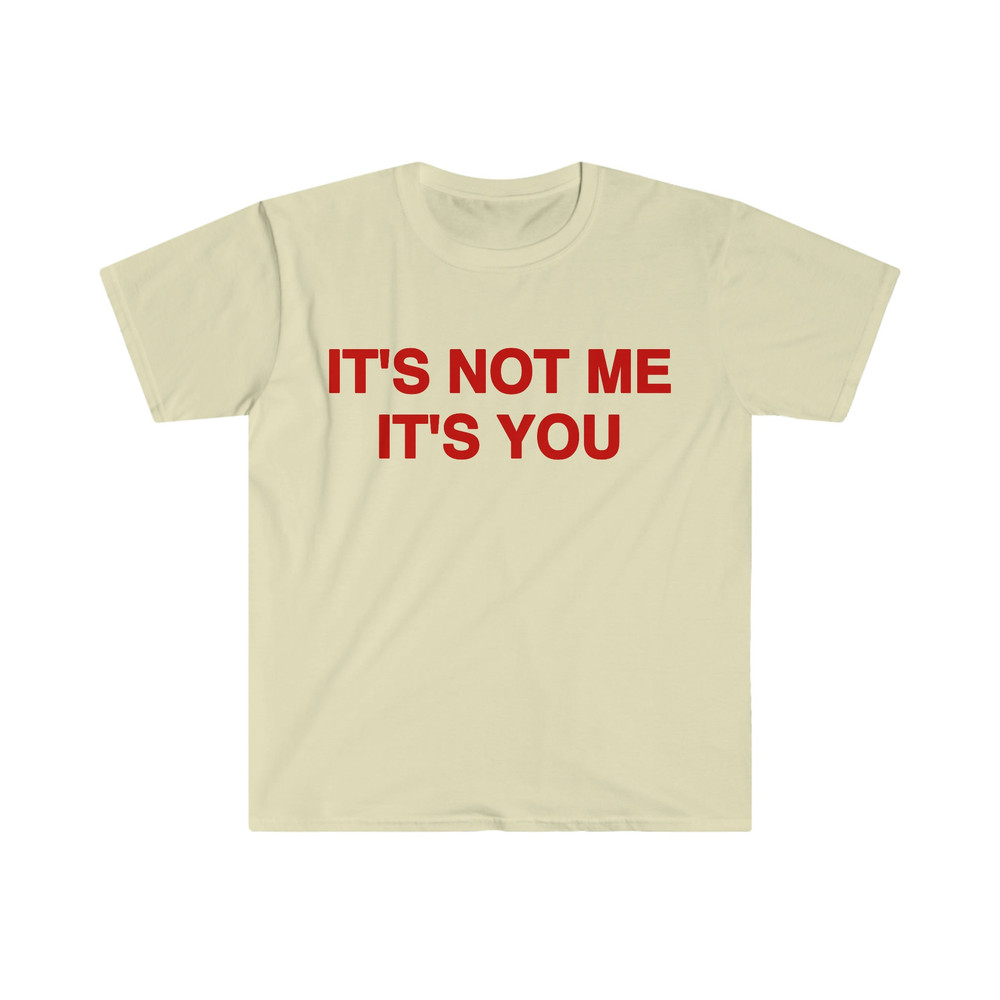 Funny Y2K Sassy TShirt, It's Not Me It's You 2000's Celebrity Style Meme Tee, Gift Shirt - 5.jpg