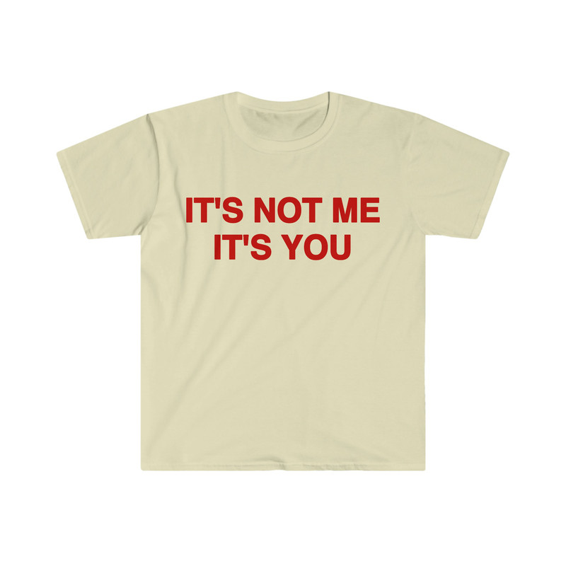 Funny Y2K Sassy TShirt, It's Not Me It's You 2000's Celebrity Style Meme Tee, Gift Shirt - 5.jpg