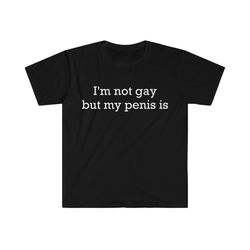 im not gay but my penis is funny meme t shirt