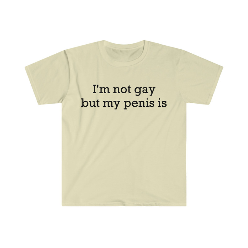 I'm not gay but my penis is Funny Meme T Shirt - 5.jpg