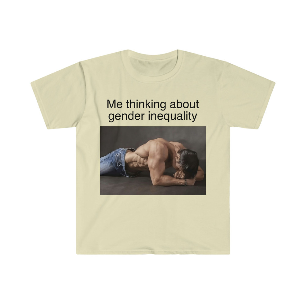 Me Thinking About Gender Inequality Funny Meme TShirt - 3.jpg