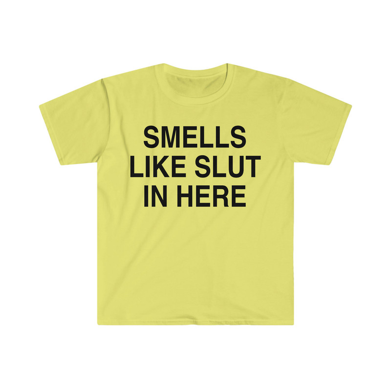 Smells Like Slut in Here Funny Meme T Shirt - 3.jpg