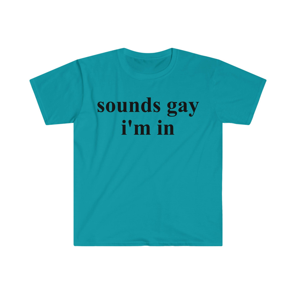sounds gay i'm in Funny Meme T Shirt - 1.jpg