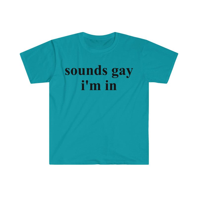 sounds gay i'm in Funny Meme T Shirt - 1.jpg