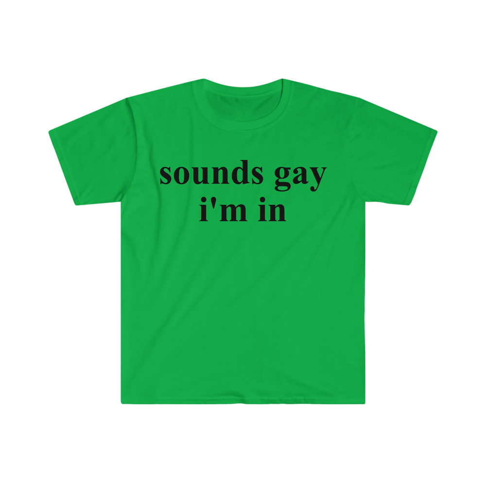 sounds gay i'm in Funny Meme T Shirt - 4.jpg