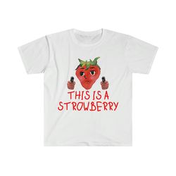 this is a strowberry robbery strawberry funny meme t shirt