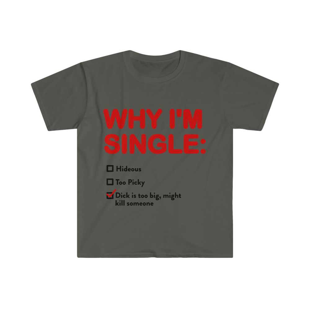 WHY I'M SINGLE Funny List Meme Tee Shirt - 4.jpg