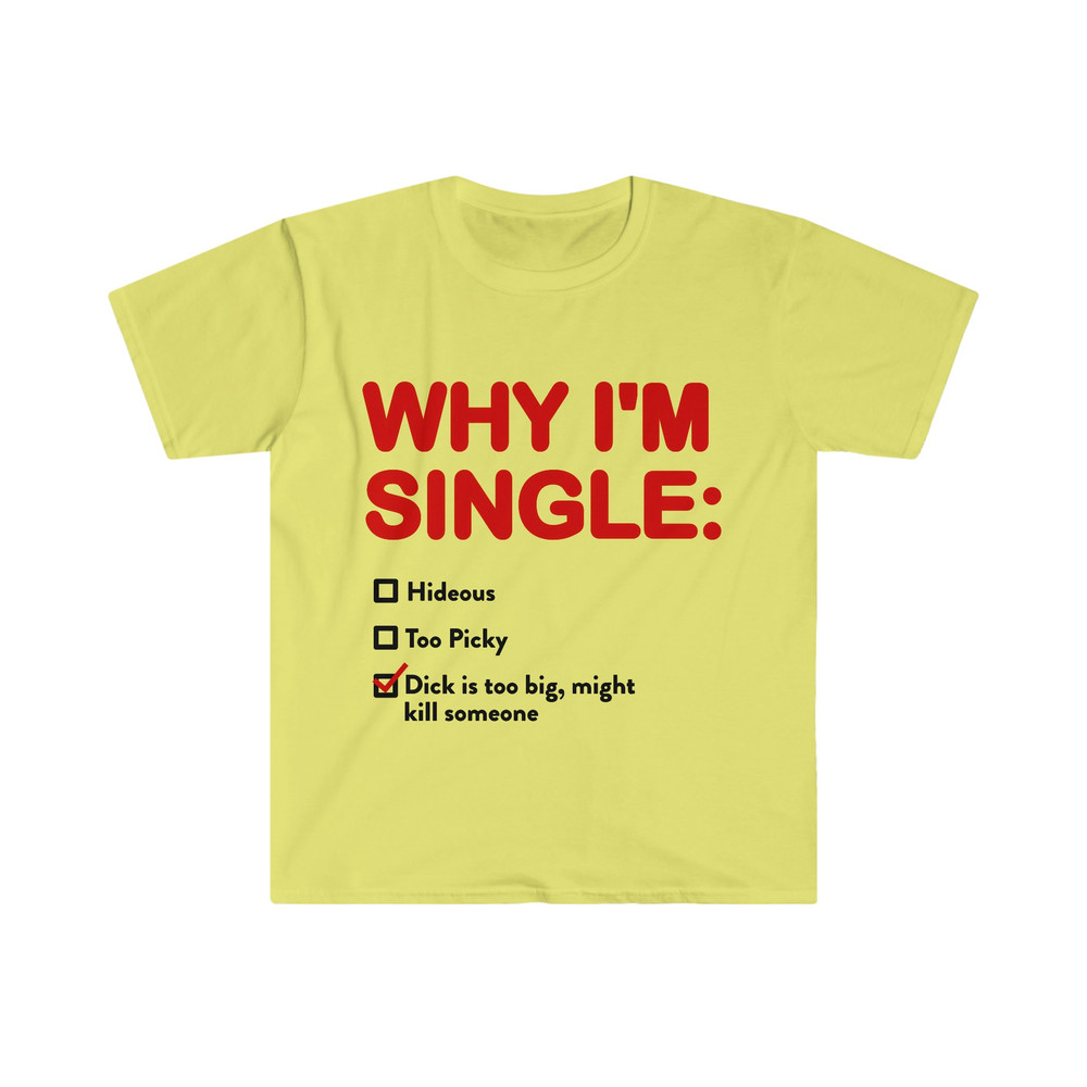 WHY I'M SINGLE Funny List Meme Tee Shirt - 5.jpg
