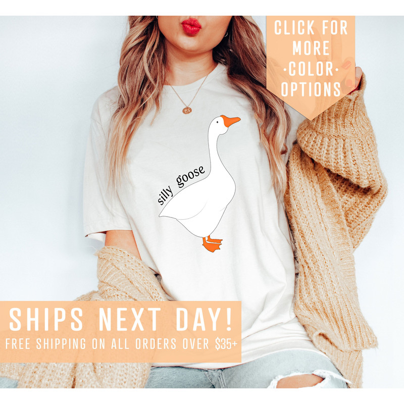 Silly Goose Funny Animal Lovers Shirt, Animal Humor Shirt, Silly Goose University Apparel, Funny Meme Tee, Cute Goose Kids Tee, Gift For Her - 1.jpg