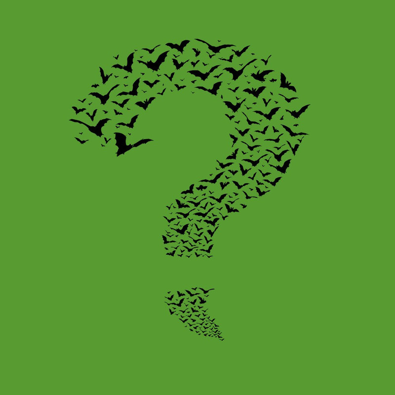 Cool Big Bang Theory T-Shirt for Men The Riddler with funny Questionmark and bat print green S-XXXXXL - 2.jpg