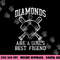 Baseball Tee Girls Diamonds are A Girls Best Friend Baseball png, sublimation copy.jpg
