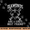 Baseball Tee Girls Diamonds are A Girls Best Friend Baseball png, sublimation copy.jpg