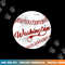Baseball Washington DC Team, Love Baseball National Pastime png, sublimation copy.jpg