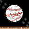 Baseball Washington DC Team, Love Baseball National Pastime png, sublimation copy.jpg