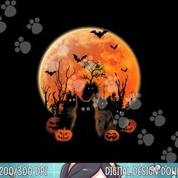 black cats moon pumpkin  halloween horror s  copy