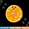 Big Orange Sliced Costume Cute Easy Fruit DIY Halloween Gift png, sublimation copy.jpg