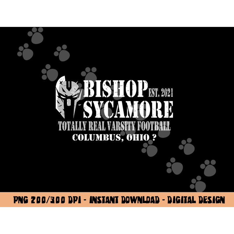 Bishop Sycamore Totally Real Varsity Football png, sublimation copy.jpg