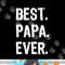 Best Papa Ever Family Cool Funny png, sublimation copy.jpg