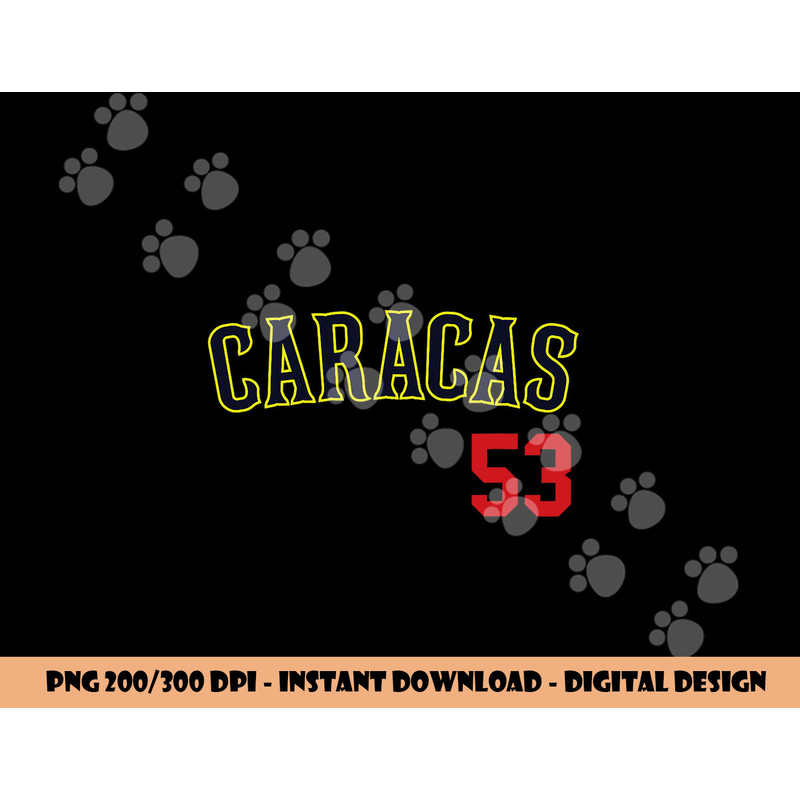 Caracas Baseball Jersey png, sublimation Franela Beisbol Venezuela 53 copy.jpg