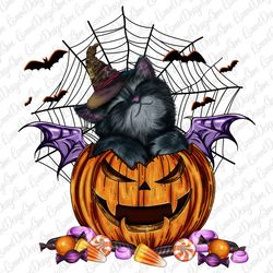 Halloween Black Cat Pumpkin PNG Sublimation Design,Baby Cat With Pumpkin Halloween Png File, Pumpkin Spooky Season Png,