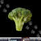 Broccoli Piece Thick Green Stalk Halloween Costume png,sublimation copy.jpg