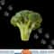 Broccoli Piece Thick Green Stalk Halloween Costume png,sublimation copy.jpg