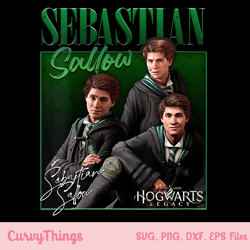 sebastian sallow hogwarts legacy png, revelio 20 magic wand