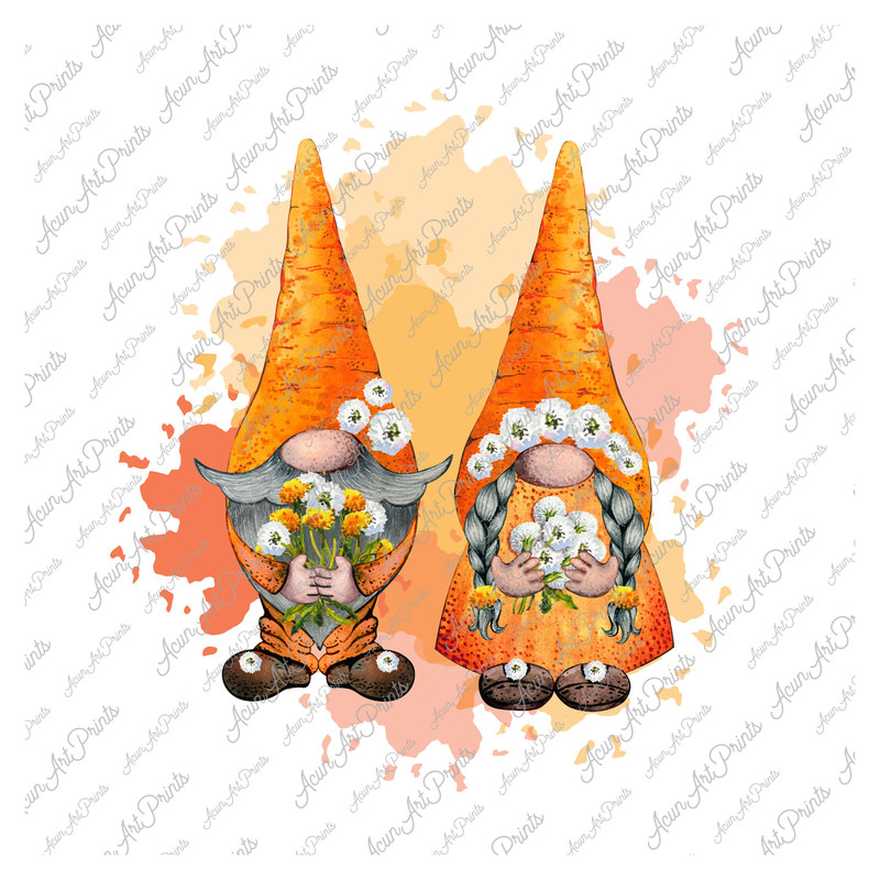 Carrot Gnome Valentines png, Gnome Png, Valentines Gnome Sublimation design, Carrot Gnome Shirt Design, Mug Sublimation, Digital Download - 1.jpg