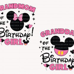 bundle birthday girl svg, birthday shirt svg, mouse birthday svg, its my bi