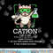 Cation Cute Science Cat Pawsitive Element Chemistry Teacher  png, sublimation copy.jpg