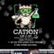 Cation Cute Science Cat Pawsitive Element Chemistry Teacher  png, sublimation copy.jpg