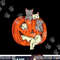 Cats Pumpkin Carved Jack O Lantern Cat Halloween Costume png, sublimation copy.jpg