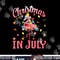 Christmas In July Pink Flamingo Wearing Santa Hat png, sublimation copy.jpg